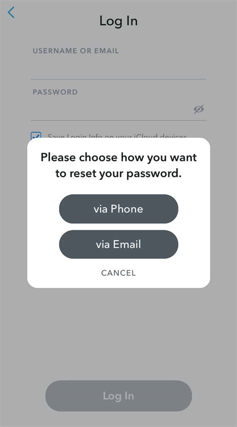 snapchat account gesperrt|Reset Password